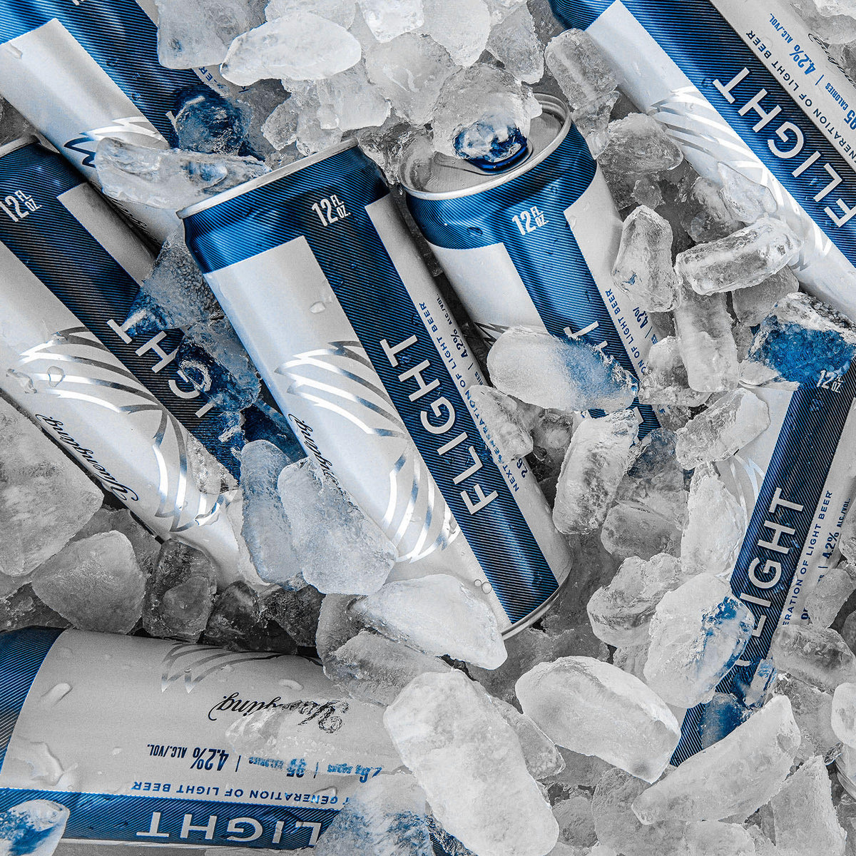 Yuangling Flight 12 Pack Cans