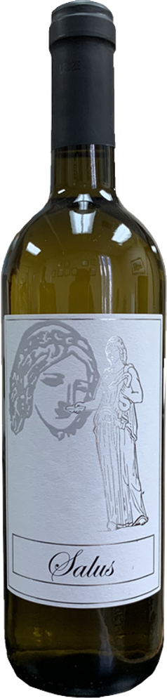Salus - Pinot Grigio 750 ML - Italy