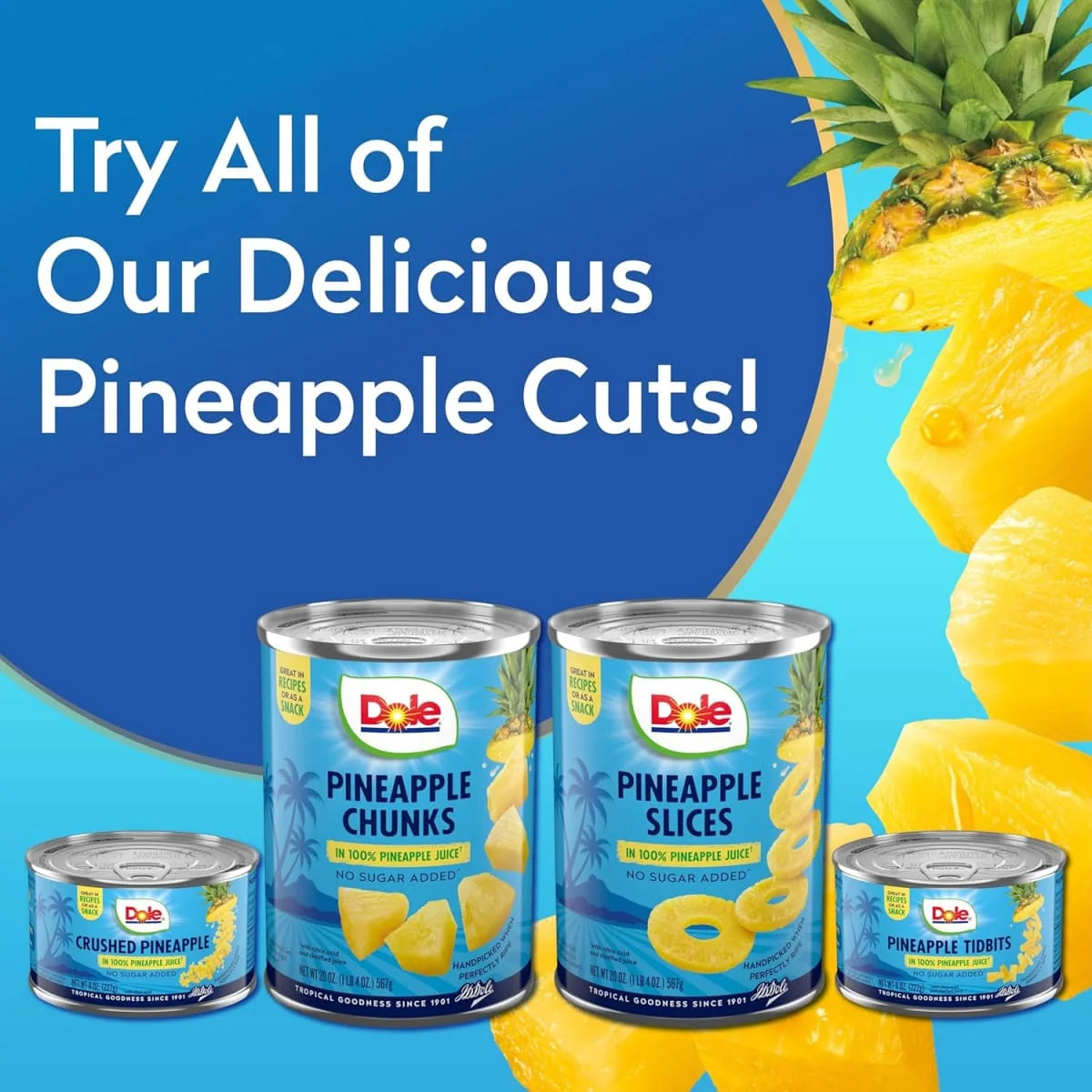 Dole Pineapple Chunks in 100% Pineapple Juice, 20 oz Can