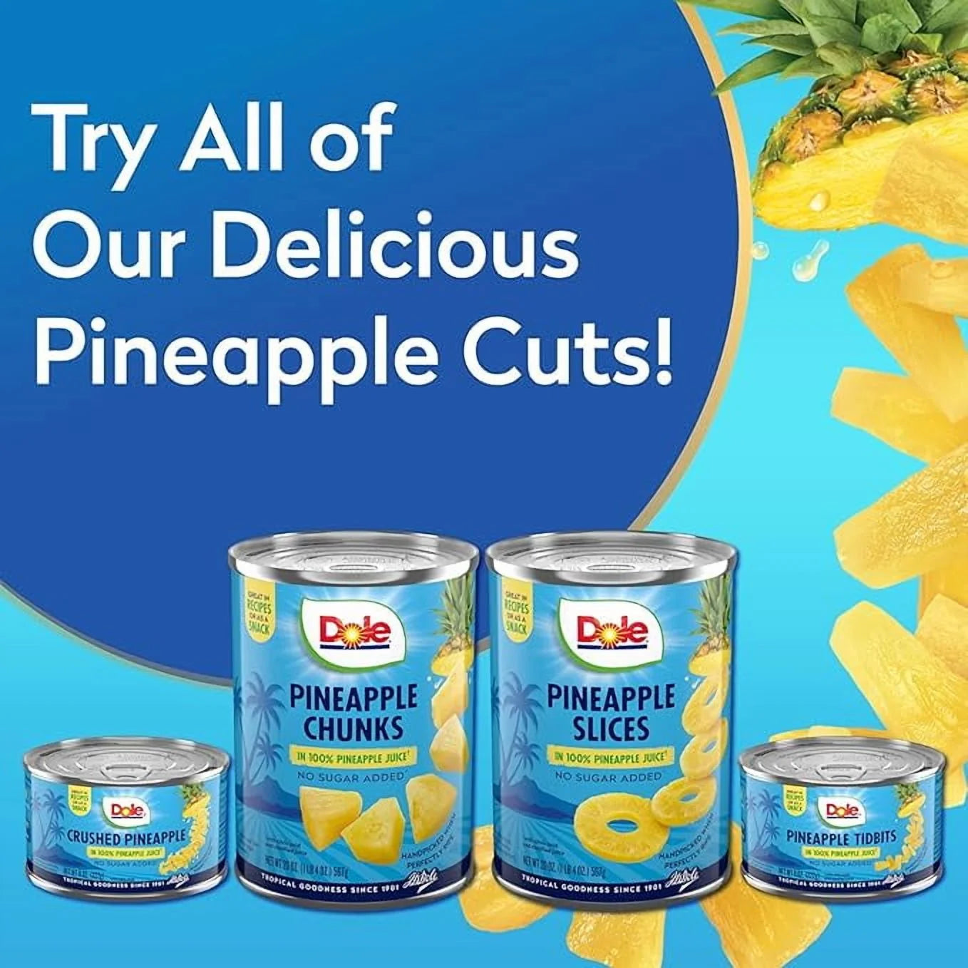 Dole Pineapple Tidbits in 100% Fruit Juice, 20 oz Can