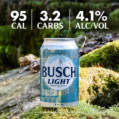 Busch Light American Lager Beer - 30pk/12 fl oz Cans